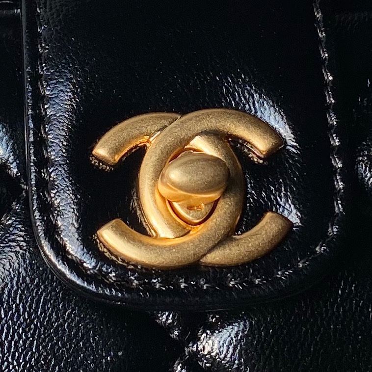 Chanel Satchel Bags